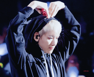 壁纸边伯贤|歌很好听,你也很好看