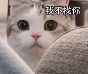 表情包让我康康