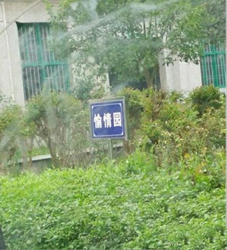 冰箱姐搞笑：家里狗狗比人都大，看来姑娘在家，也是满满的安全感啊