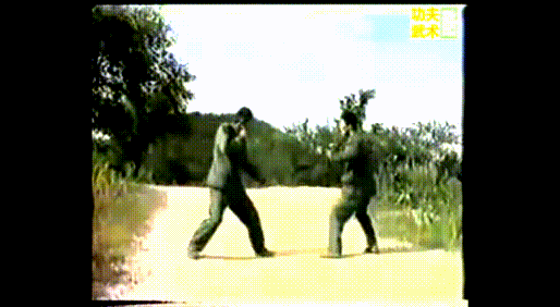 解密黑龙十八手之10乌龙摆尾的格斗秘笈专攻敌方下身