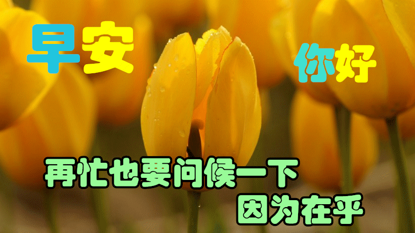 2021最美早上好动态图片带字温馨,微信群发暖心的早安