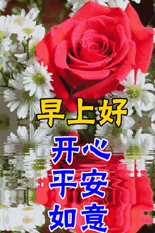 正月十二牛年大吉最漂亮早上好动态表情图片大全,早晨