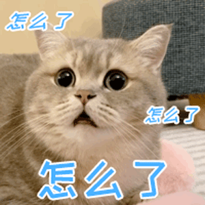 第57期聊天斗图必备表情包