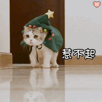 可爱的猫咪表情大全,请收藏备用!