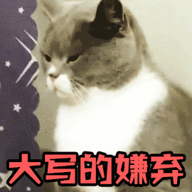 表情包大写的嫌弃