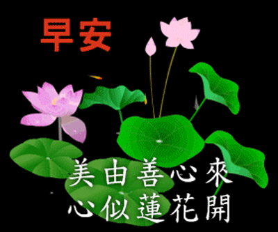 早上好祝福语大全 早上好问候语及关心话