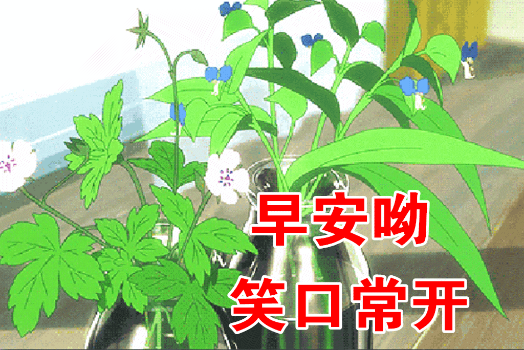 8张非常好看的美丽的鲜花早安问候图片精选 春天天清晨早上好问候祝福