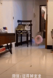 搞笑gif段子67没开灯大家知道我用了多大力吗