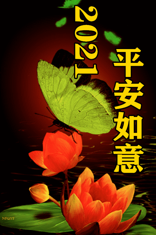 3月17日新版早上好鲜花图片带字温馨,微信阳光早上好图片集锦