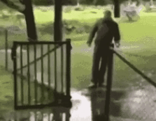 到墙里最好笑的就是这些倒霉蛋不过沙雕也讲究个浑然天成都能这么可爱