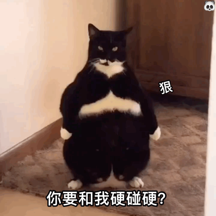 526表情包丨走啦请我喝奶茶