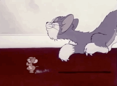 真人版猫和老鼠汤姆和杰瑞看了都气到和好