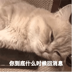 侵联删 微信小程序搜【哆糖表情】             /头像/壁纸 等你来玩