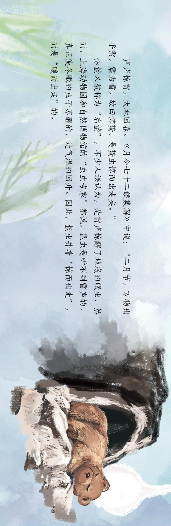 策 划 | 沈敏岚 王欣 朱晓昆文 案 | 金旻矣 马丹 左妍长 图 | 王嘉玮