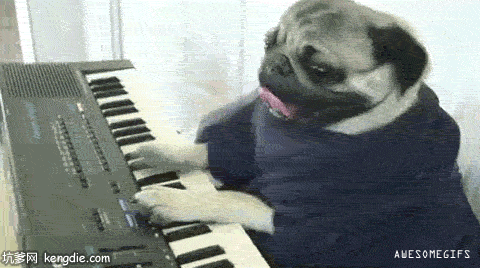 离开琴谱基本不会弹琴6.