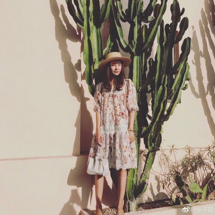 张子萱怀孕日记曝光，却被网友找出好多错别字