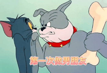 表情包这样你开心了吗