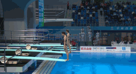 十四运跳水测试赛首日赛况_腾讯