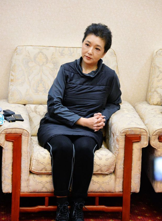 家居,装修,豪宅,江珊,室内装修