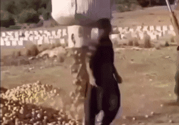 这个 第一眼没看出来.