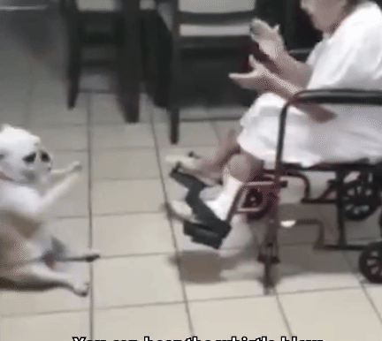 哈哈哈～笑死我了