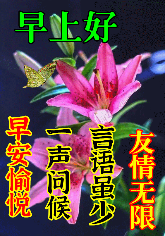 聊天不用打字的祝福图片免打字就可以聊天的早安问候祝福动态图片表情