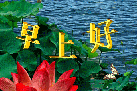 中老年表情包放飞心情自由自在