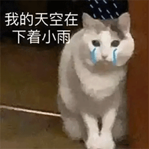 微信可爱聊天表情包|宝贝长宝贝短 宝贝没钱又不管