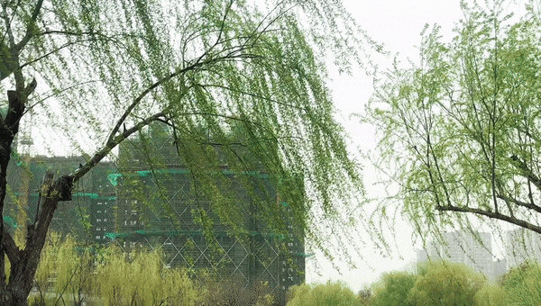 来与春天约个会