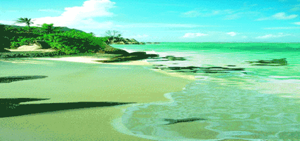 600_283gif 动态图 动图