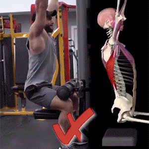 肌肉解剖纠错你健身常练动作,别瞎练的一身伤了!