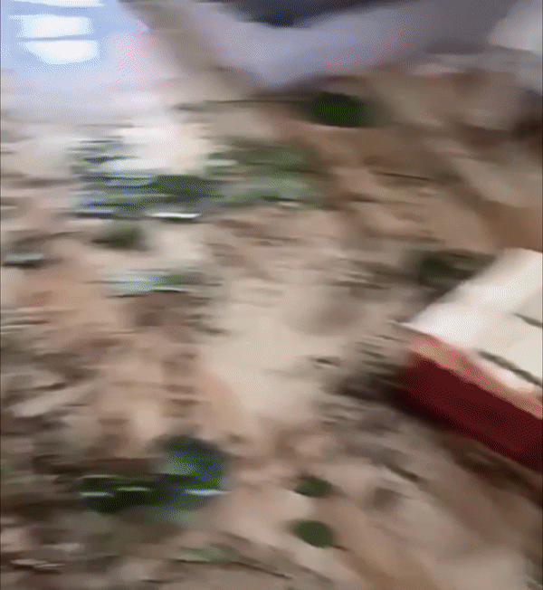 2.伤害不大,侮辱性极强