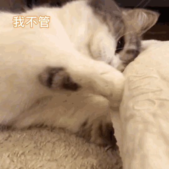 沙雕动图小型表情包，沙雕动图小型表情包下载