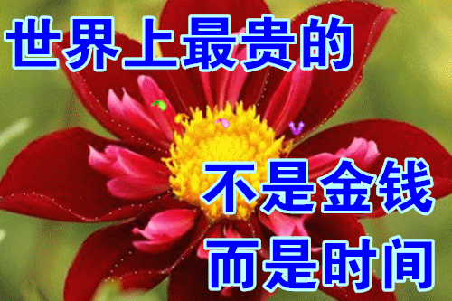 4月2日最漂亮早上好动态表情图片大全,早晨好动图美图