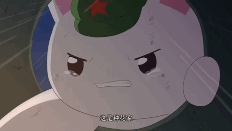 9!这个火遍全网的