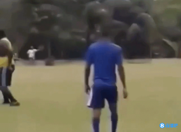 今日趣图:幸亏退役退得早,不遇林皇没烦恼