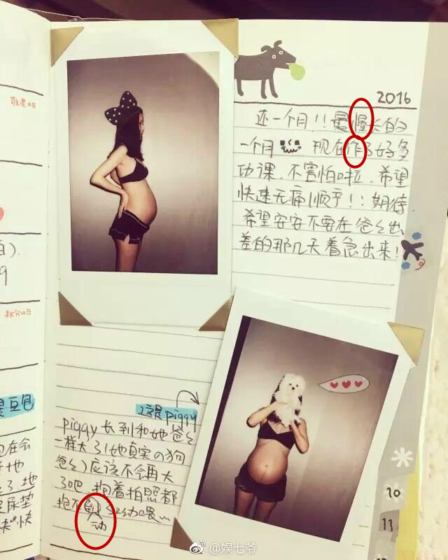 张子萱怀孕日记曝光，却被网友找出好多错别字