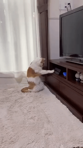 【笑多会怀孕】气氛逐渐尴尬