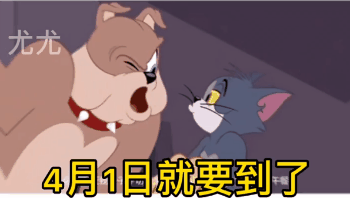 抖音最火表情包丨情侣聊天搞笑表情包