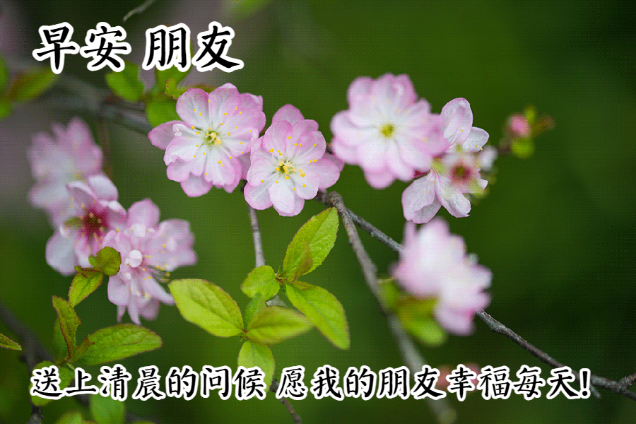 2021年早上好图片带字早上好图片新版 早晨的温馨祝福