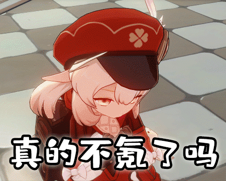 前面的区域以后再来探索吧│原神表情包分享