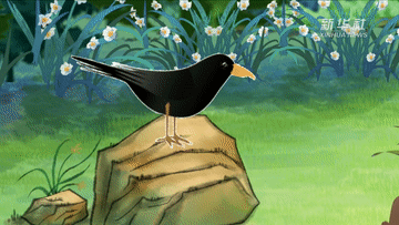 公益微视频丨还记得那只喝水的乌鸦吗?