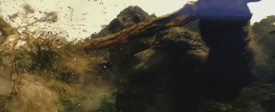 别不信,这世上可能真有哥斯拉_腾讯新闻