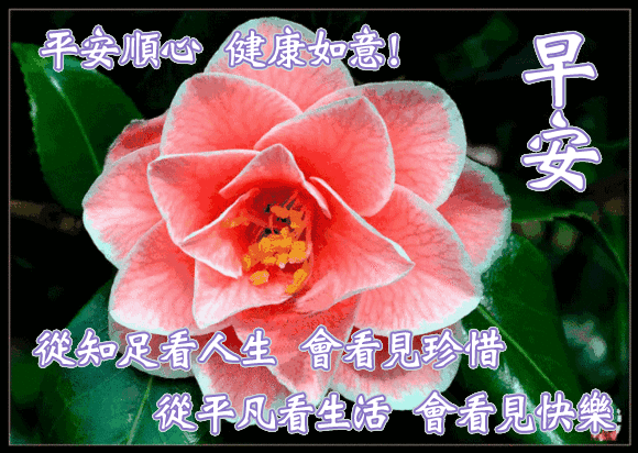 早上好动态祝福图 早上好动态表情大全