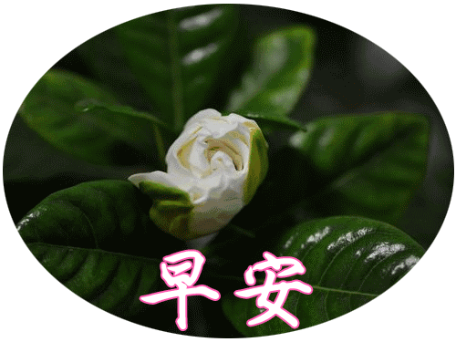 早上好动态祝福图早上好动态表情大全