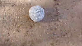 冰箱姐GIF：姑娘弯腰捡东西，大哥你在后面干嘛！小心被抓
