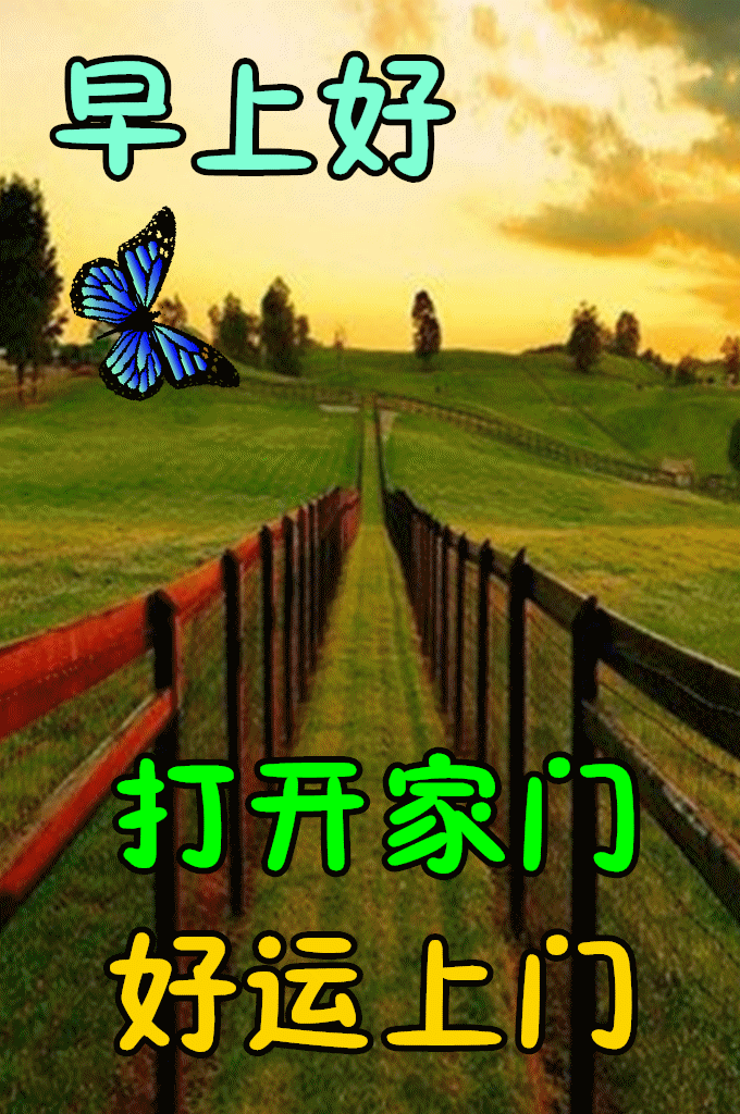 中老年表情包,送上一份问候,温暖你的心房!