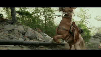 中途,还有一匹马摔伤.野马最初难以驯服,老踢人,而且浑身扎满了刺.