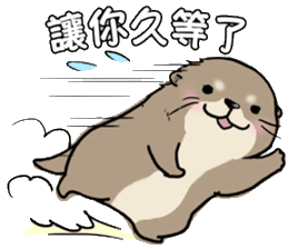 表情丨line可爱小水獭表情包