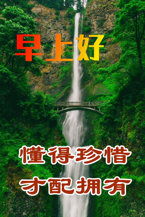 4月5日最漂亮早上好动态表情图片大全,早晨好动图美图